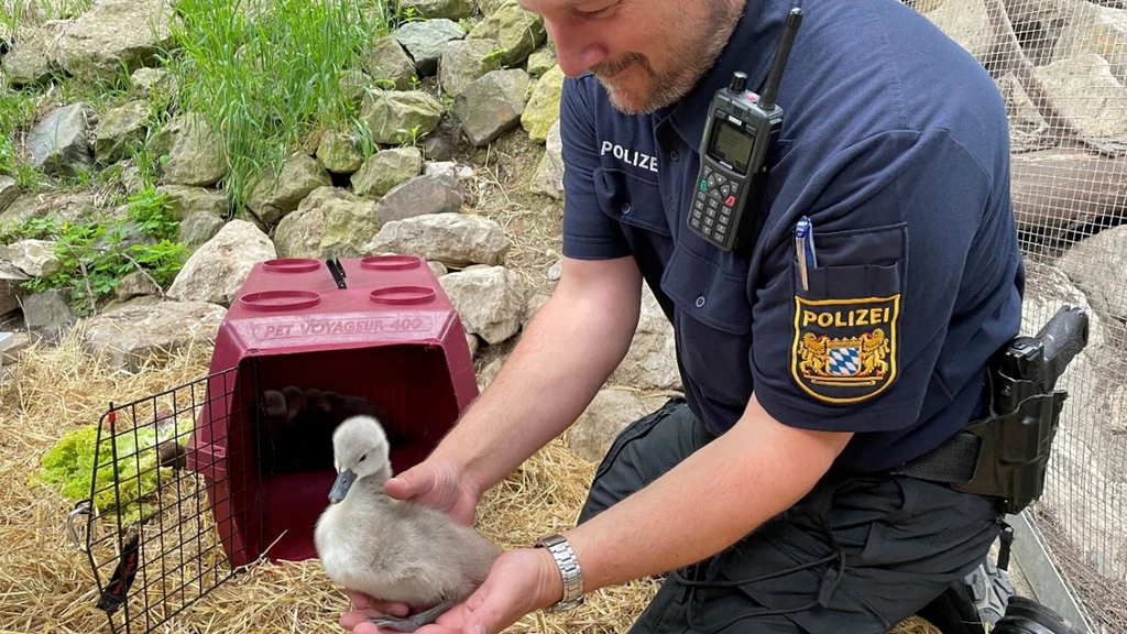 — © Polizei