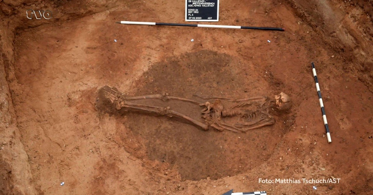 Bamberg: Ausgrabungen bringen Funde aus der Steinzeit ans Tageslicht