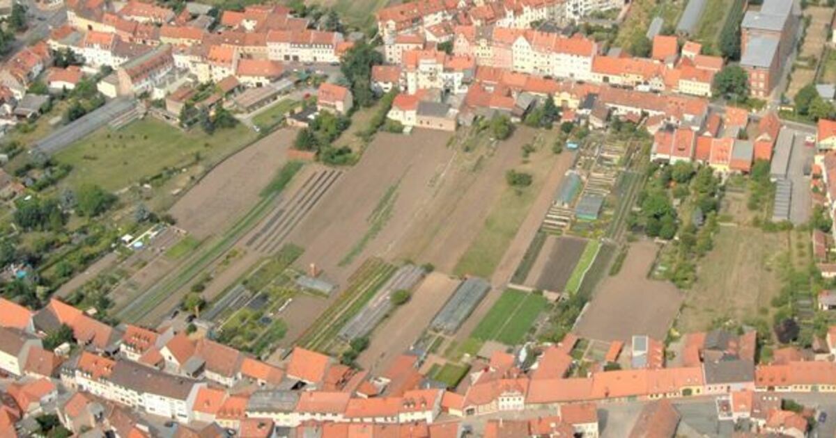 Bamberg Stadt will historische Gärten wiederbeleben tvo.de