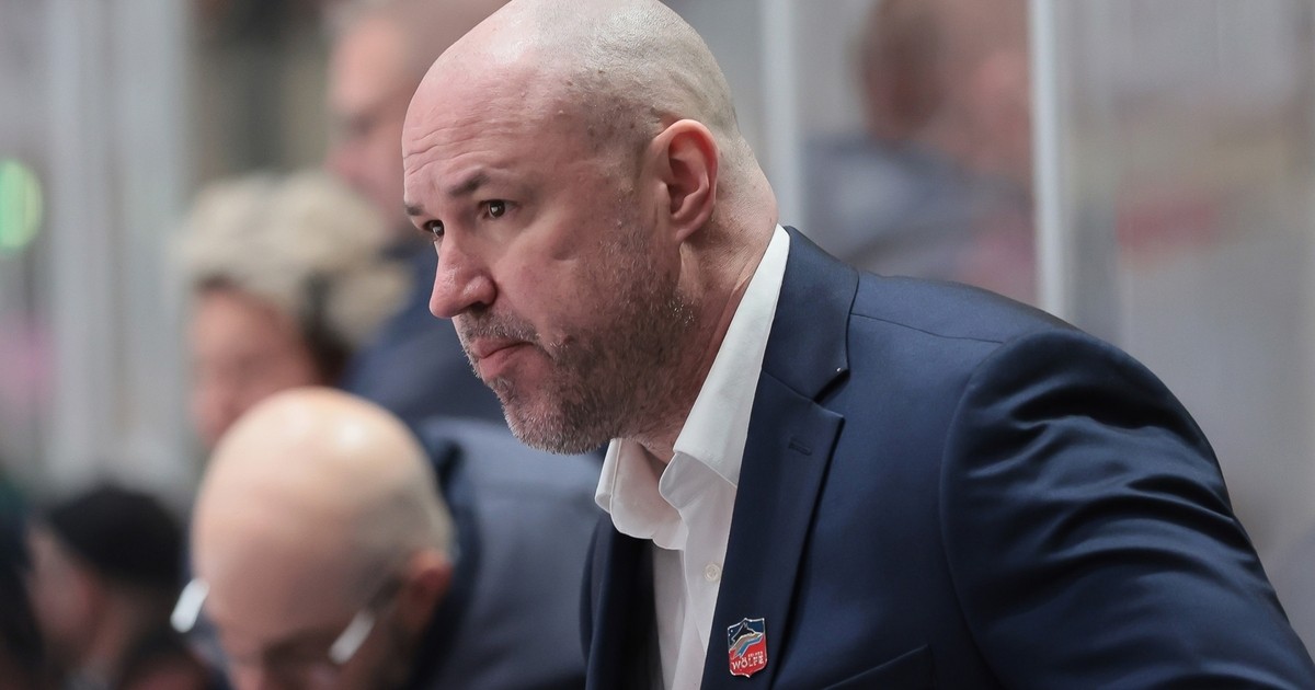 Eishockey / DEL2 Ryan Foster nicht mehr Cheftrainer der Selber Wölfe