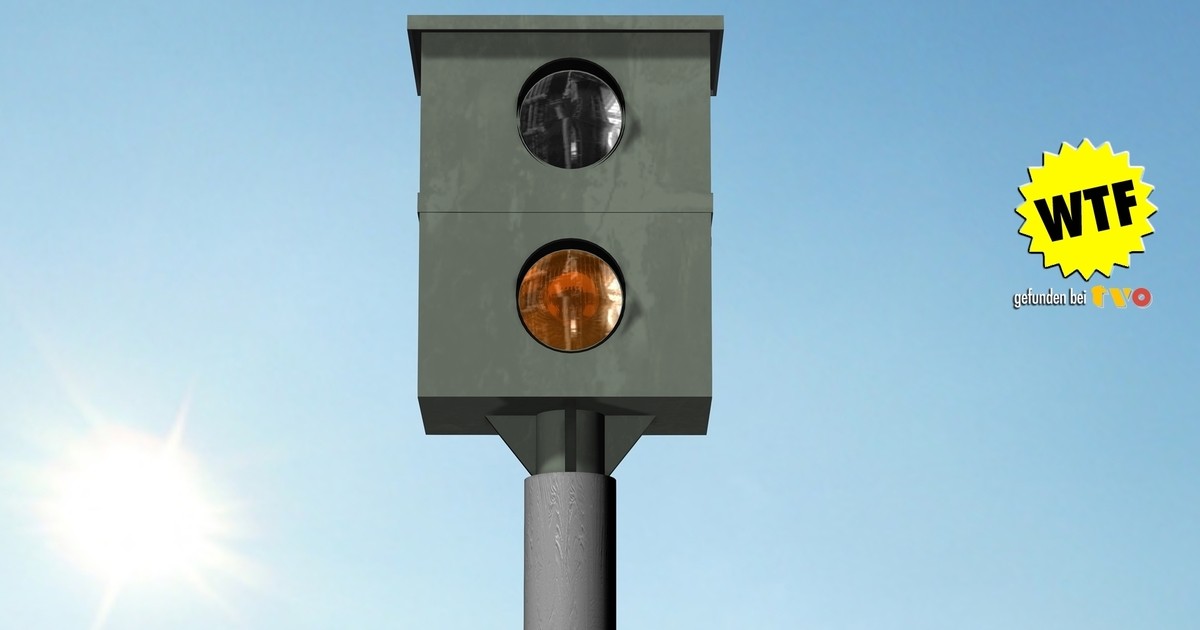 Täuschend echt – aber illegal: Der Do-it-yourself-„Starenkasten“ von ...