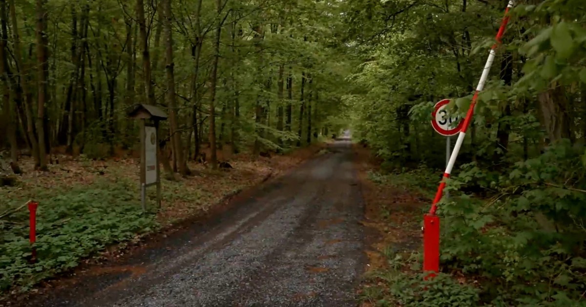 +UPDATE+ Selb: Pilzesammler finden vermisste 23-Jährige