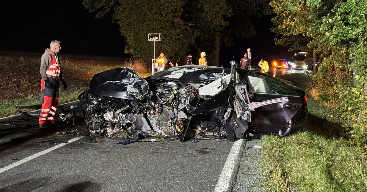 Car crashes into tree near Münchberg: 17-year-old dies in accident