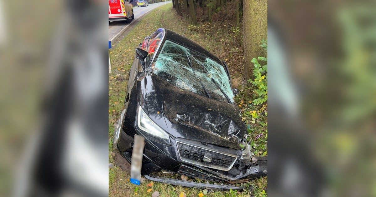 Münchberg: Ausweichmanöver wegen Reh endet am Baum