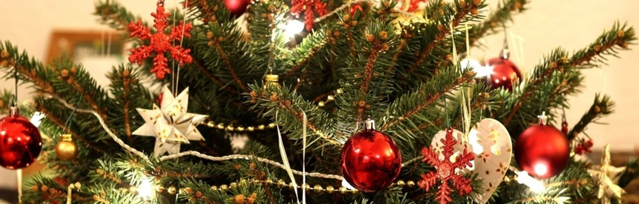 Europa-Ranking: Weihnachtsbäume bei uns mit am Günstigsten