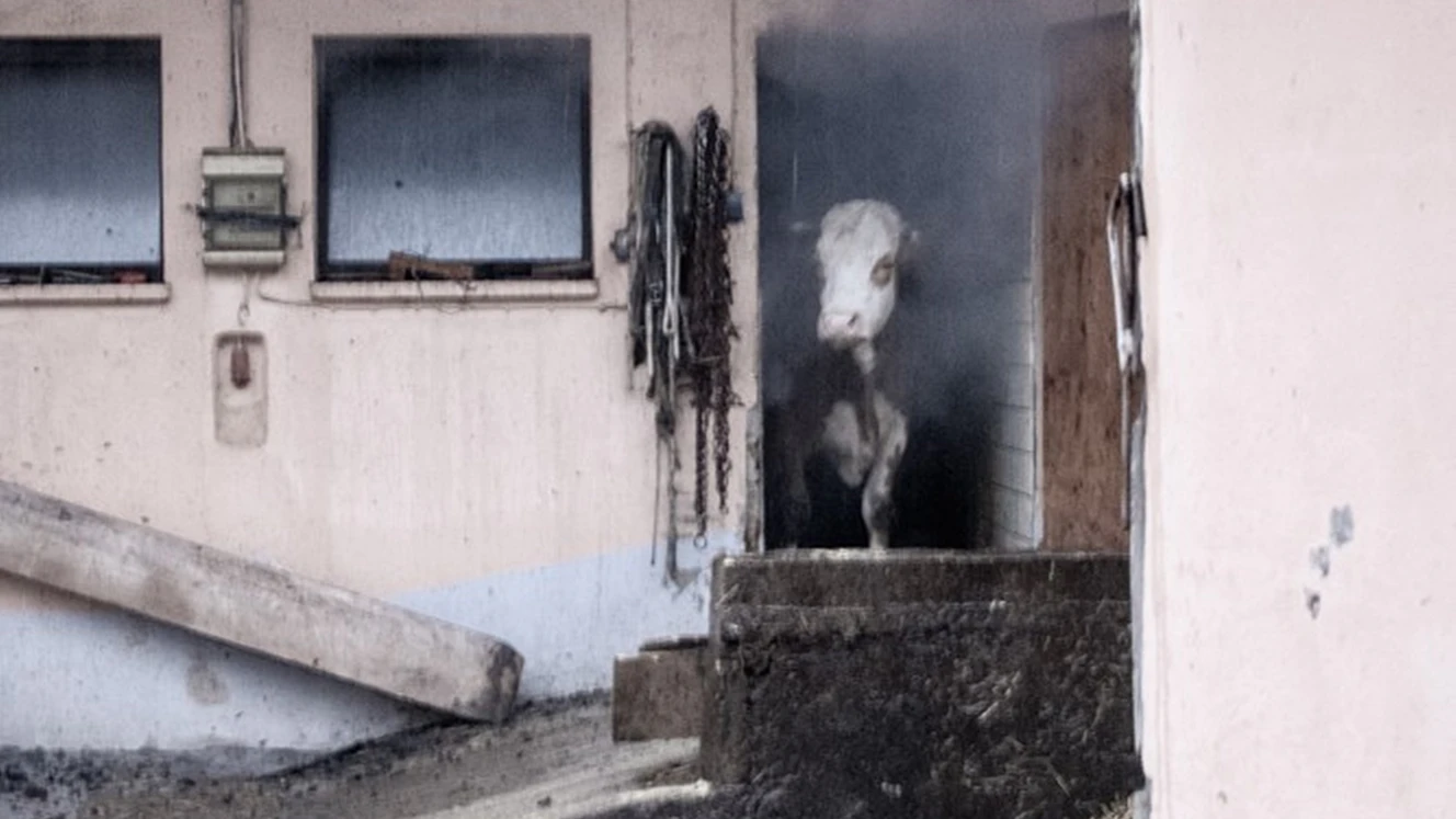  — © Kreisbrandinspektion Forchheim / Fotograf: Christian Sailer