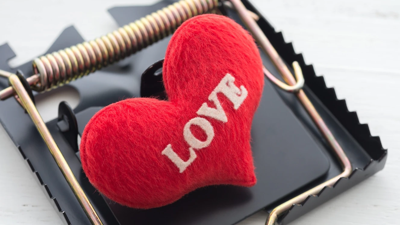— © Shutterstock / Stockfoto / Symbolfoto