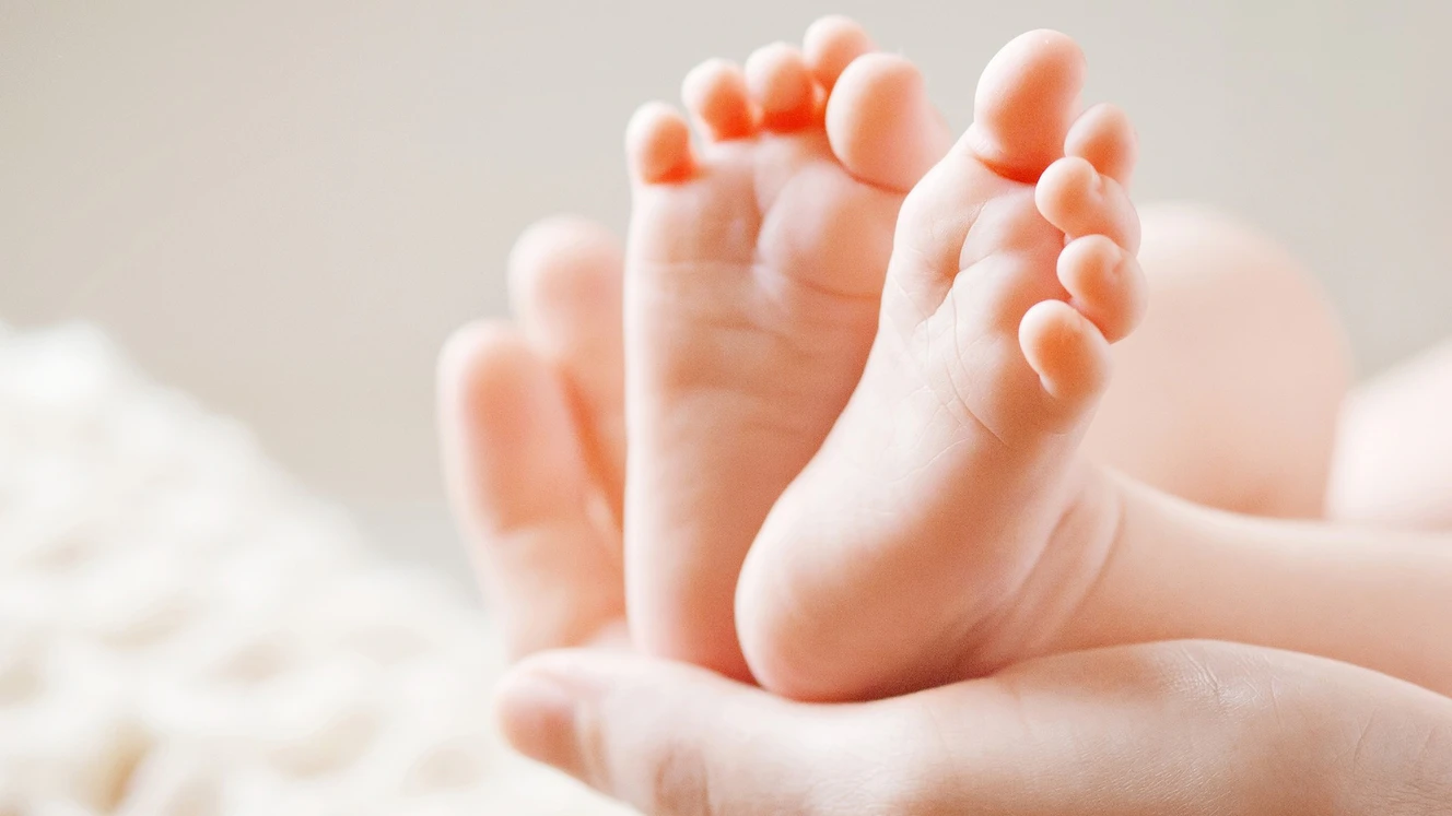  — © Shutterstock / Stockfoto / Symbolfoto