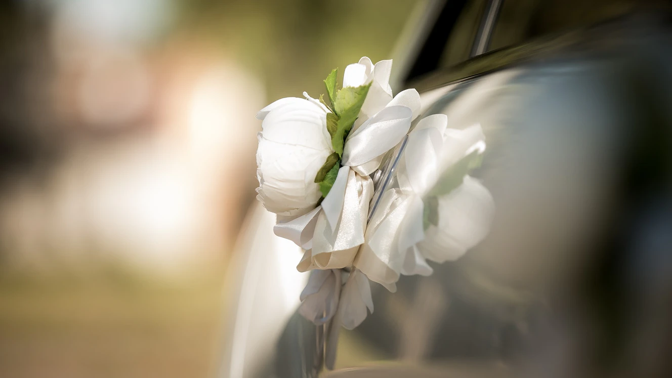 — © Shutterstock/Stockfoto/Symbolbild