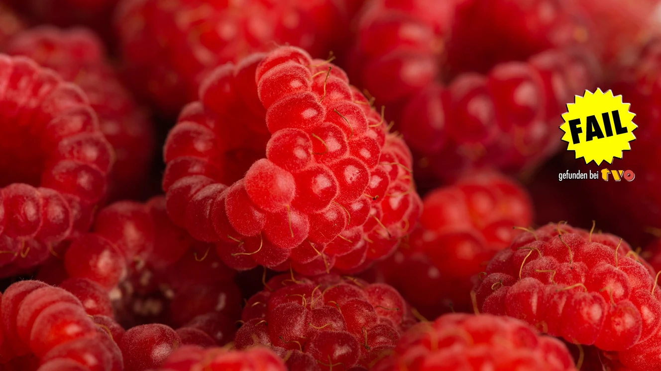 — © Shutterstock / Stockfoto / Symbolfoto