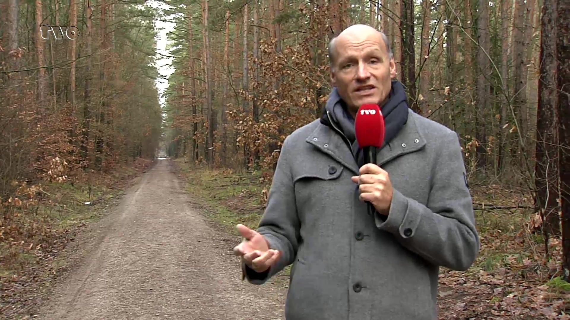 Oberfranken Wann Kommt Endlich Der Schnee Tvo De