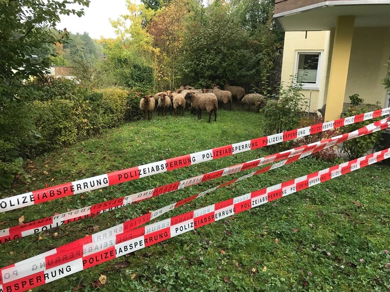 — © Polizeiinspektion Coburg / POW Muggenthaler